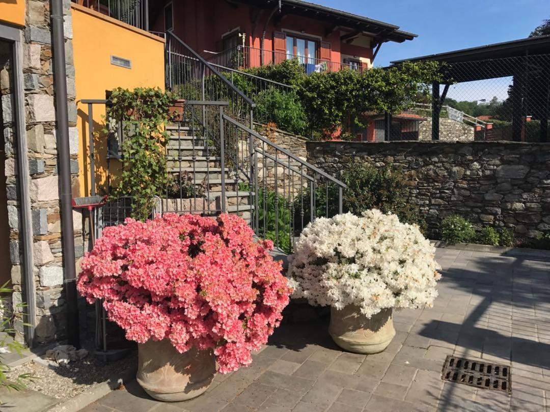 Villa Vill'Ariel Sport & Relax Brovello-Carpugnino Exterior foto
